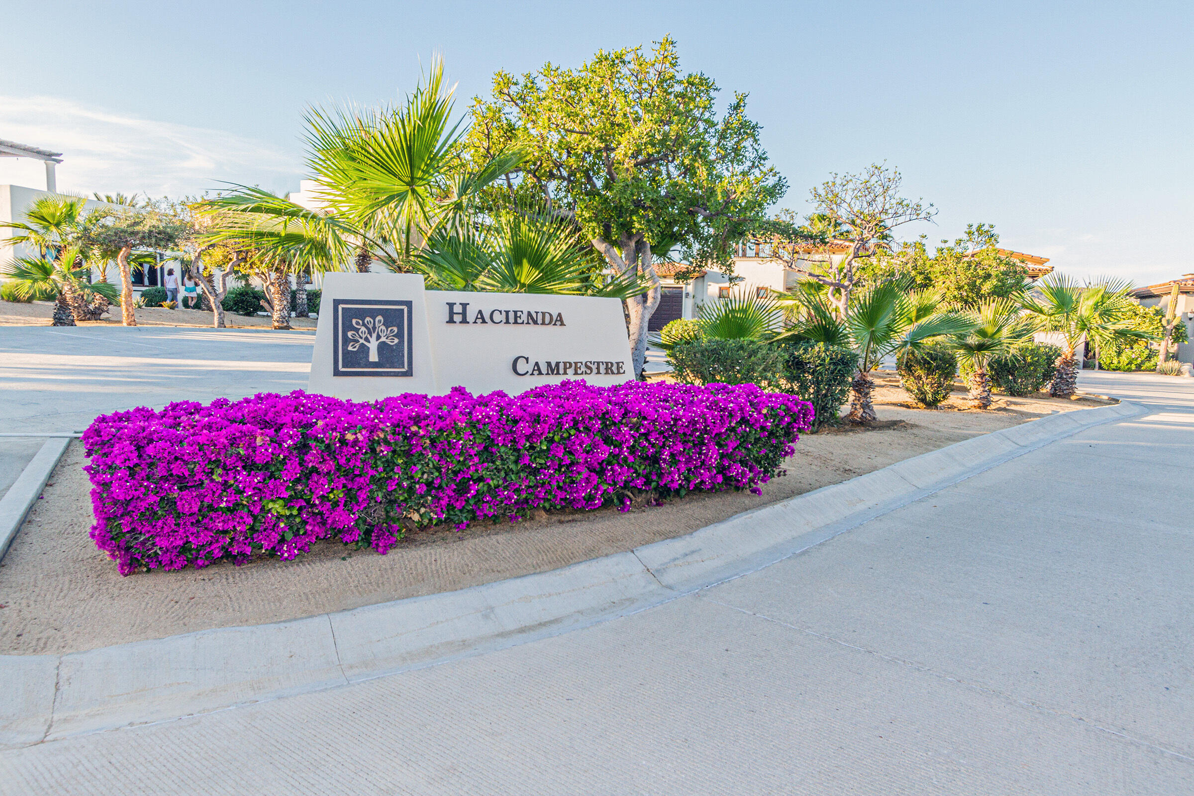 NO. 56 FINISTERRA ST., San Jose del Cabo, BS